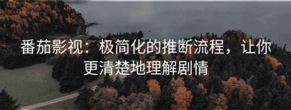 番茄影视：极简化的推断流程，让你更清楚地理解剧情