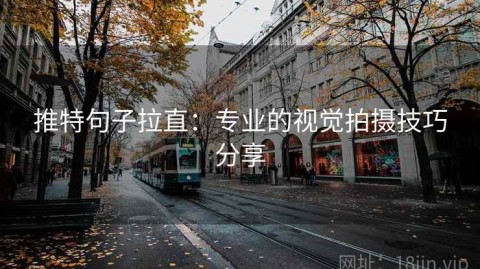 推特句子拉直：专业的视觉拍摄技巧分享