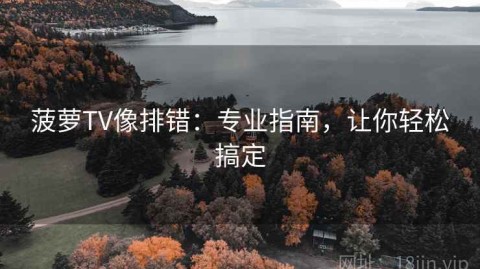 菠萝TV像排错：专业指南，让你轻松搞定