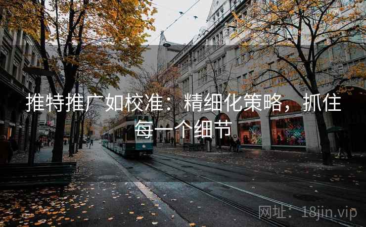 推特推广如校准:精细化策略,抓住每一个细节 推特推广如校准:精细化策略,抓住每一个细节